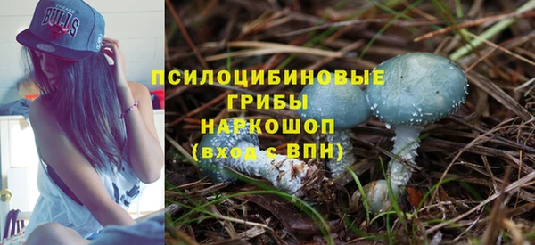 альфа пвп Горняк