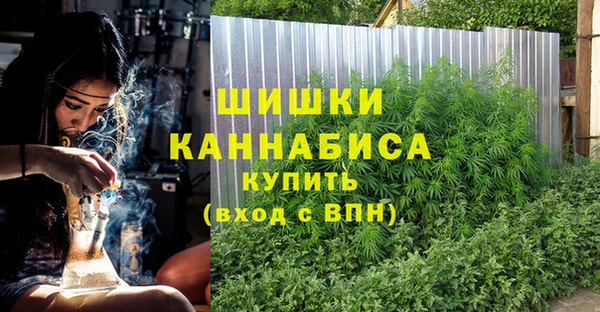 Альфа ПВП Горнозаводск