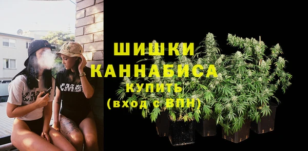 Альфа ПВП Горнозаводск