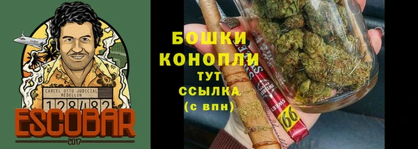Альфа ПВП Горнозаводск