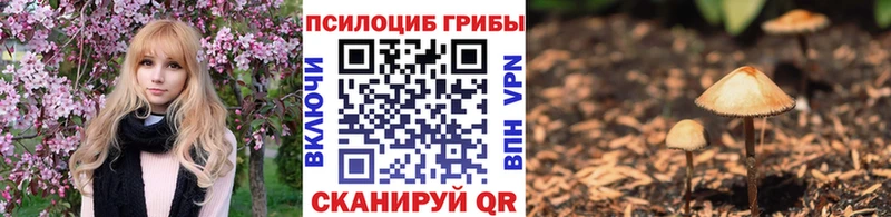 Галлюциногенные грибы мухоморы как найти закладки Казань